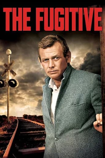 The Fugitive 포스터