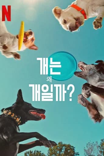 개는 왜 개일까? 포스터