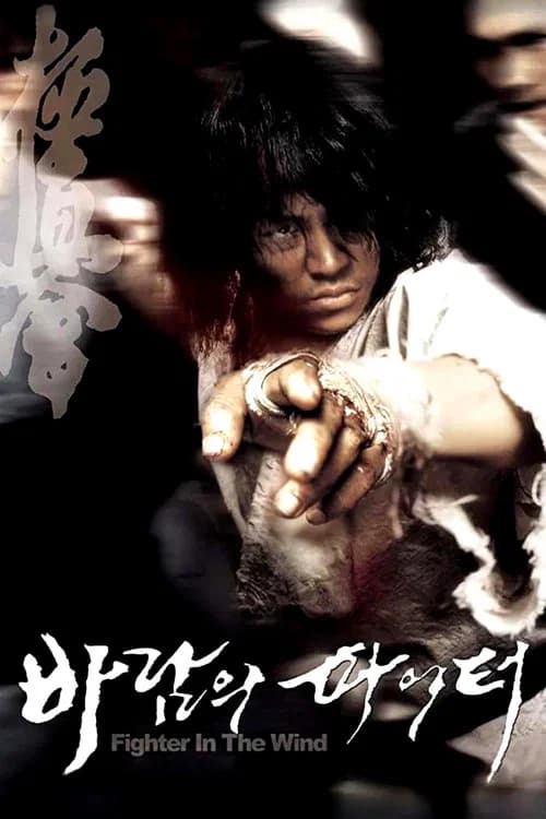 바람의 파이터 포스터