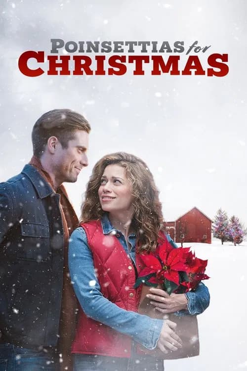 Poinsettias for Christmas 포스터