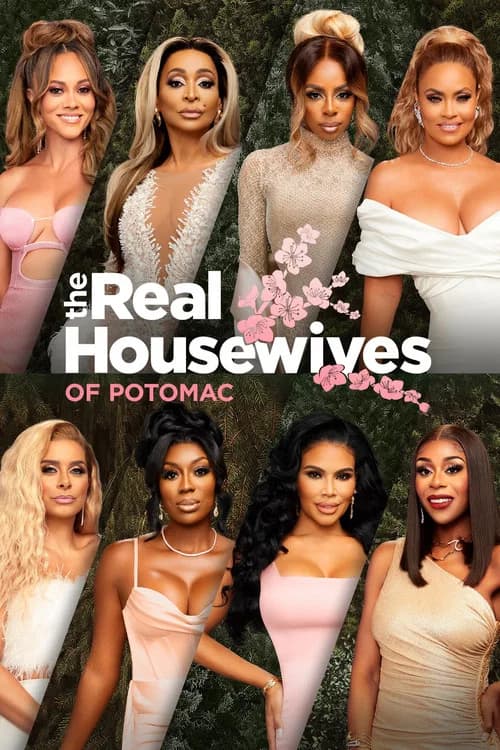 The Real Housewives of Potomac 포스터