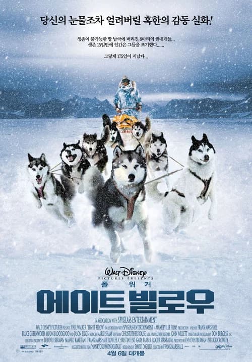에이트 빌로우 포스터