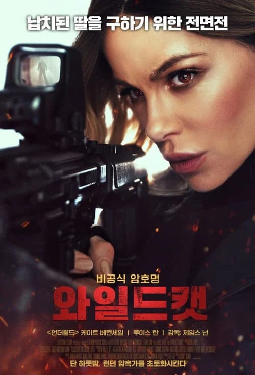 와일드캣 포스터