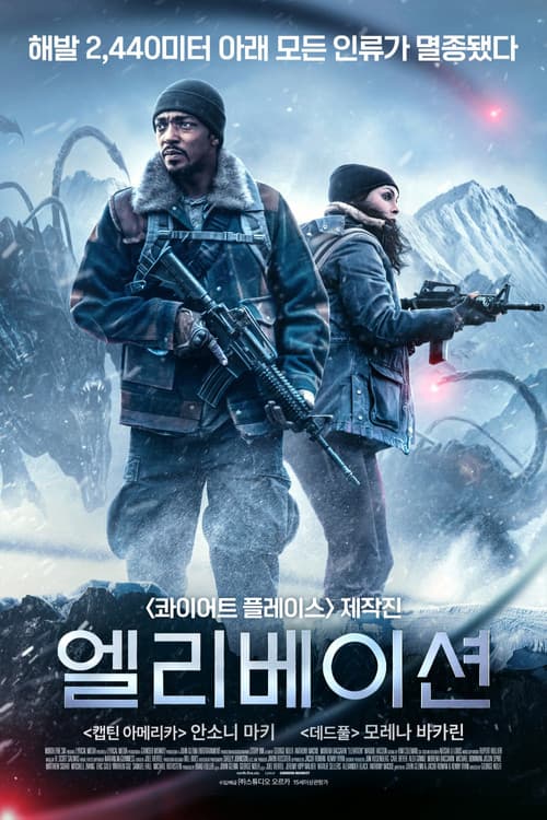 엘리베이션 포스터
