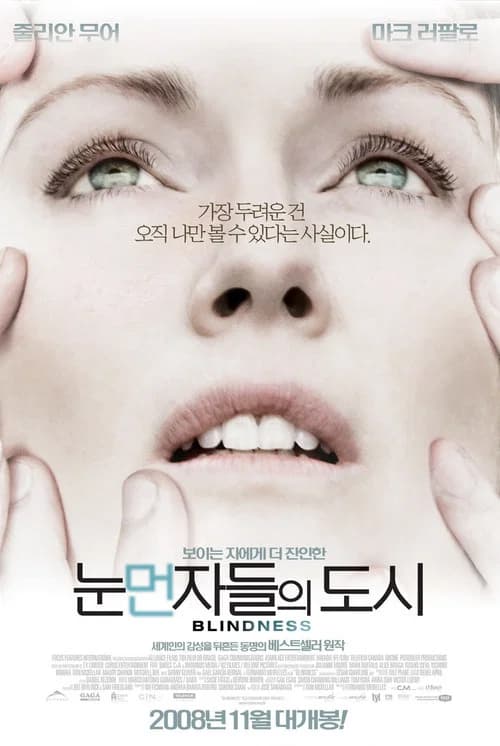 눈먼 자들의 도시 포스터
