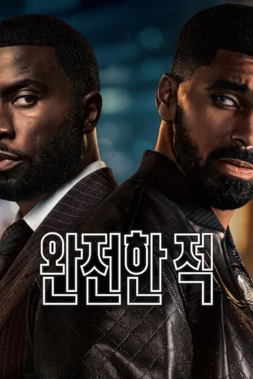 완전한 적 포스터