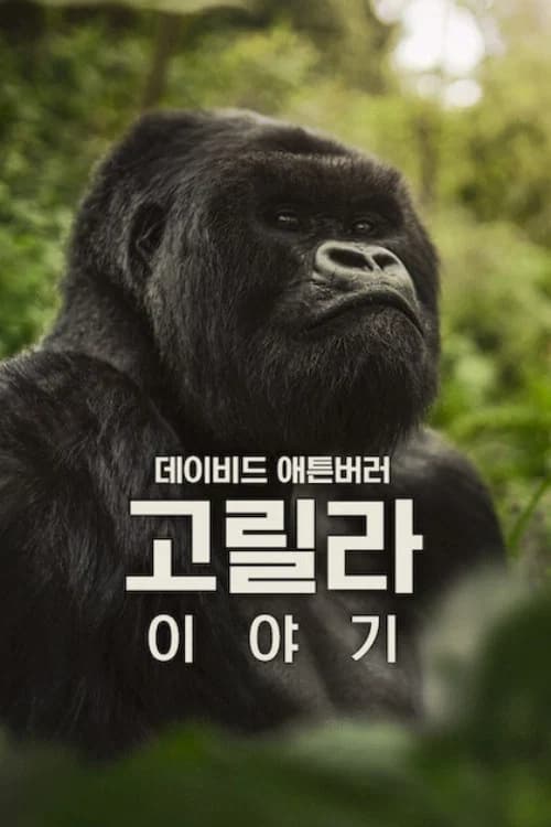 데이비드 애튼버러: 고릴라 이야기 포스터