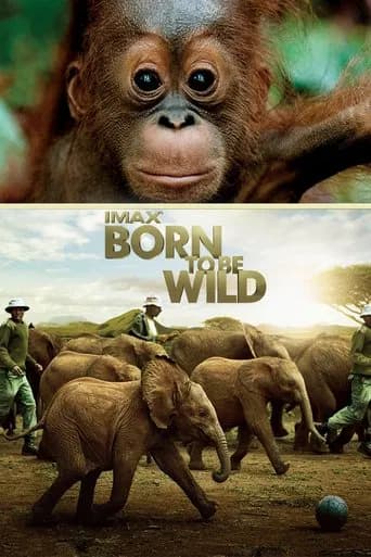 Born to Be Wild 포스터