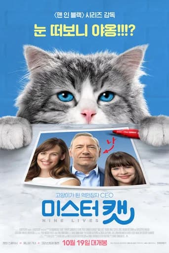 미스터 캣 포스터