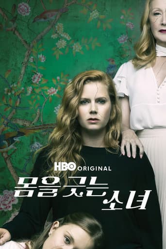 몸을 긋는 소녀 포스터