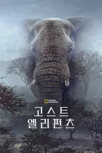 고스트 엘리펀츠 포스터