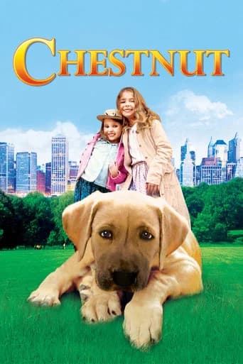 Chestnut: Hero of Central Park 포스터