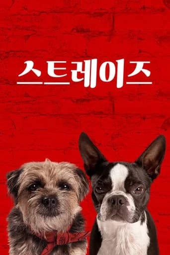 스트레이스 포스터