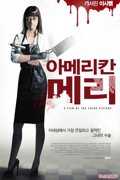 아메리칸 메리 포스터
