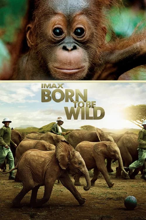 Born to Be Wild 포스터