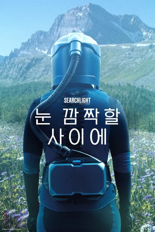 눈 깜짝할 사이에 포스터