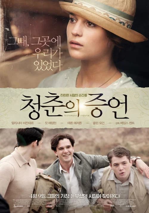 청춘의 증언 포스터