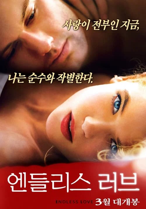 엔들리스 러브 포스터