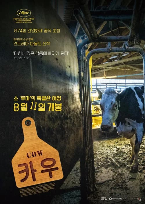 카우 포스터
