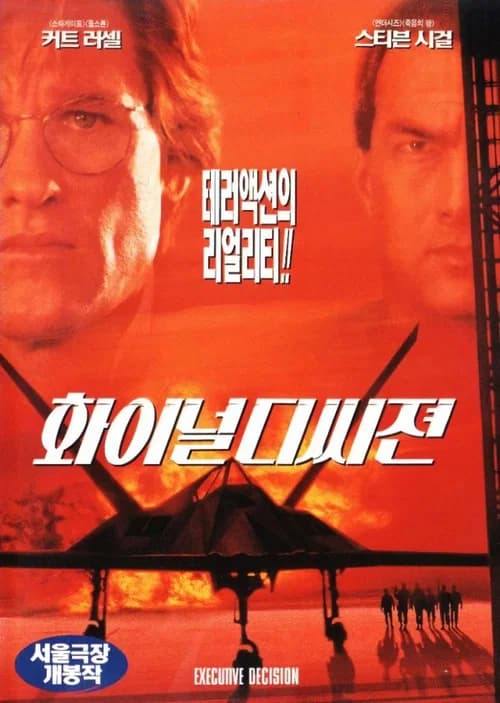 화이널 디씨전 포스터