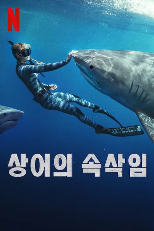 상어의 속삭임 포스터