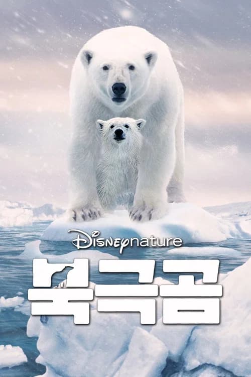 북극곰 포스터