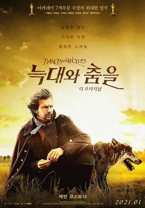 늑대와 춤을 포스터