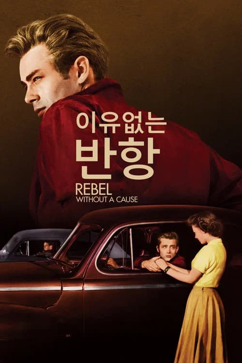 이유 없는 반항 포스터