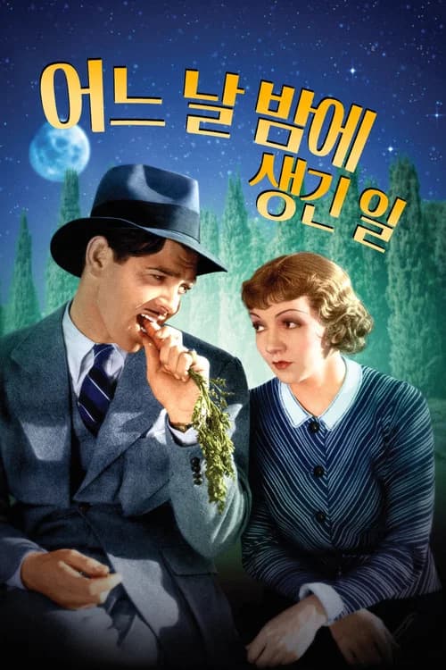 어느 날 밤에 생긴 일 포스터