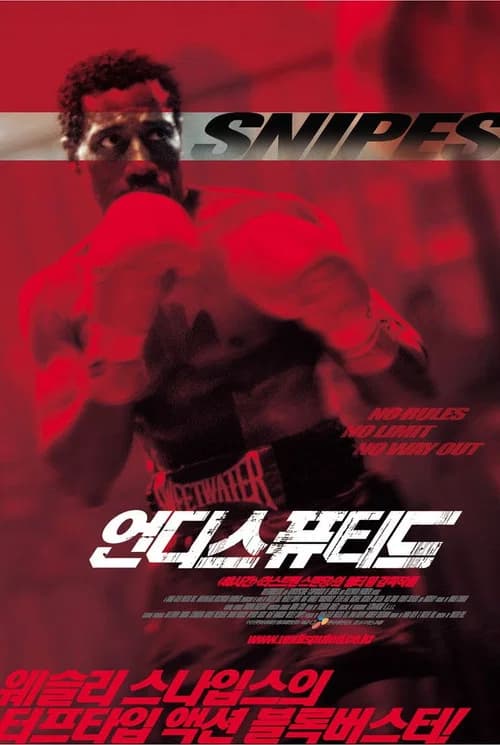 언디스퓨티드 포스터