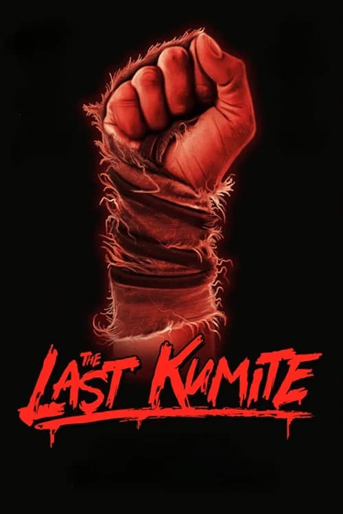 The Last Kumite 포스터